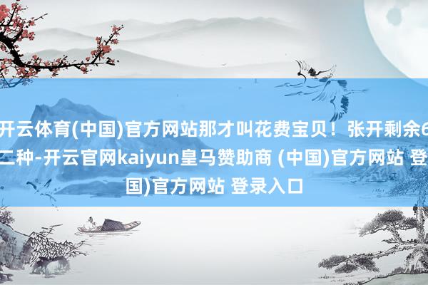 开云体育(中国)官方网站那才叫花费宝贝！张开剩余60% 第二种-开云官网kaiyun皇马赞助商 (中国)官方网站 登录入口