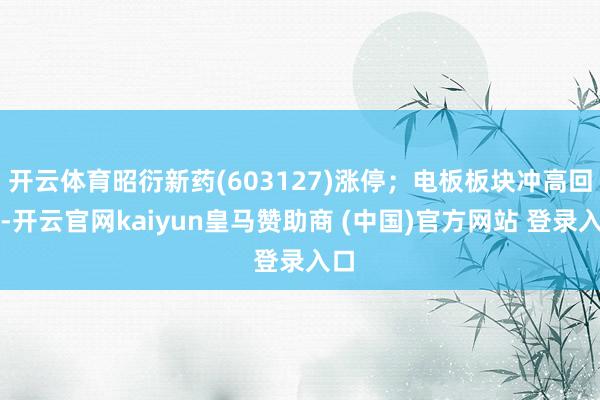开云体育昭衍新药(603127)涨停；电板板块冲高回落-开云官网kaiyun皇马赞助商 (中国)官方网站 登录入口